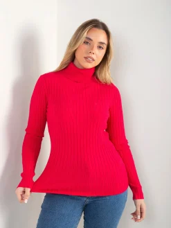 Camisola canela fina gola alta