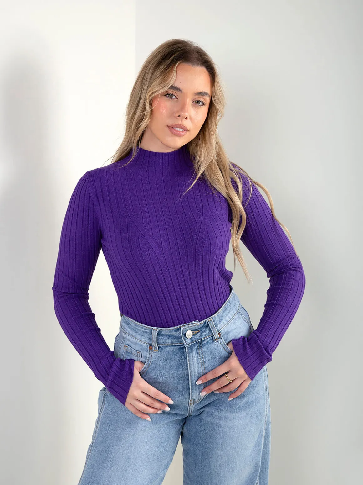 Camisola canelada com gola perkins