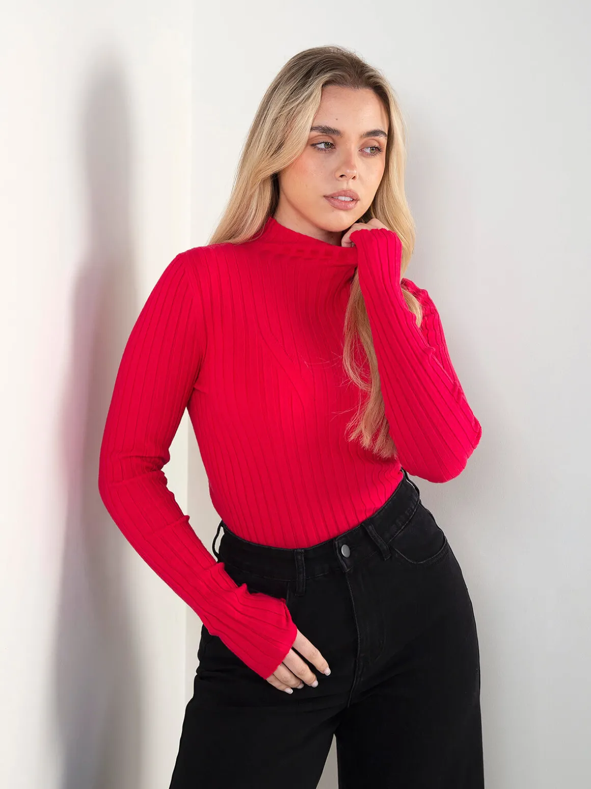 Camisola canelada com gola perkins