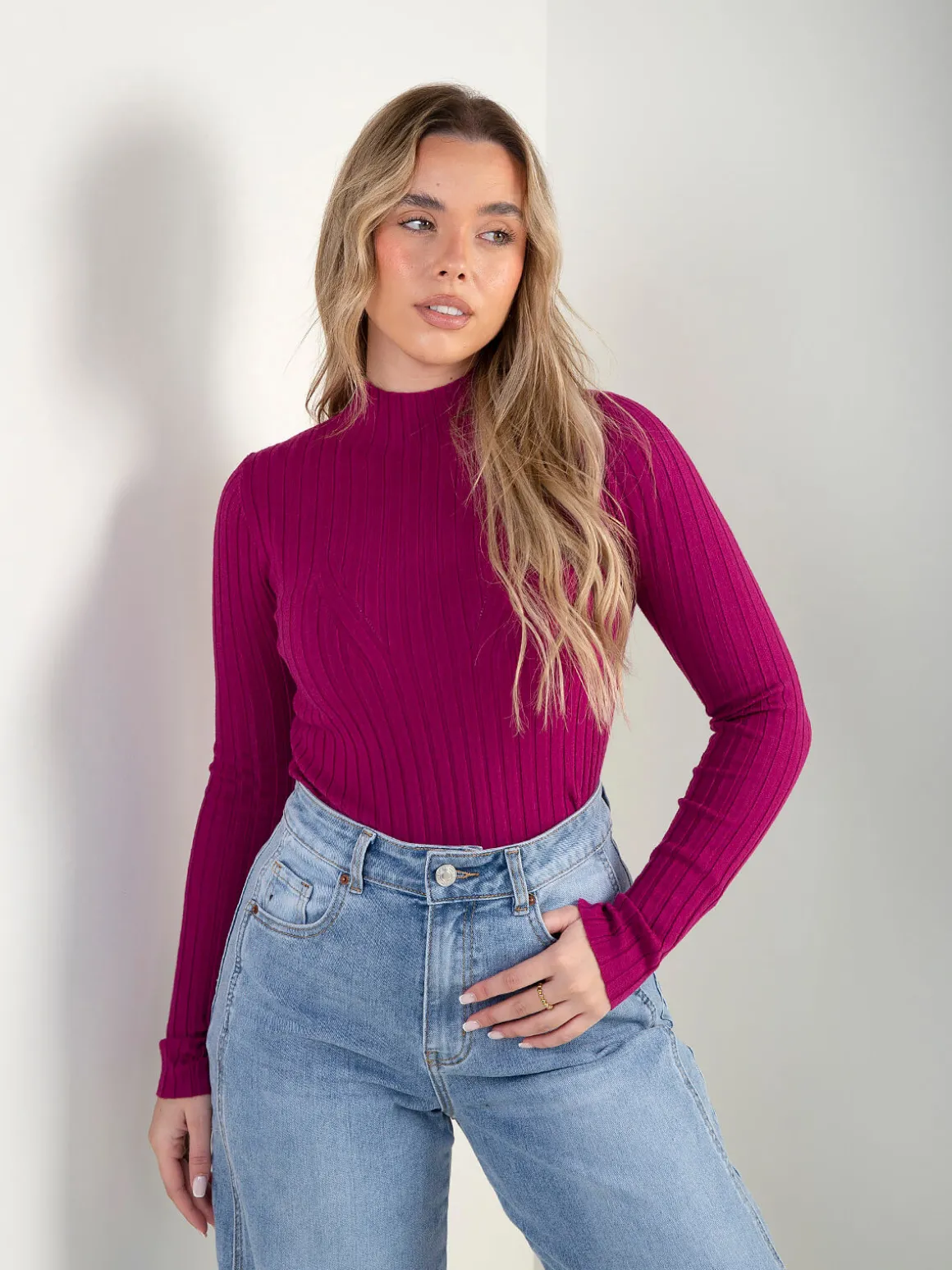 Camisola canelada com gola perkins